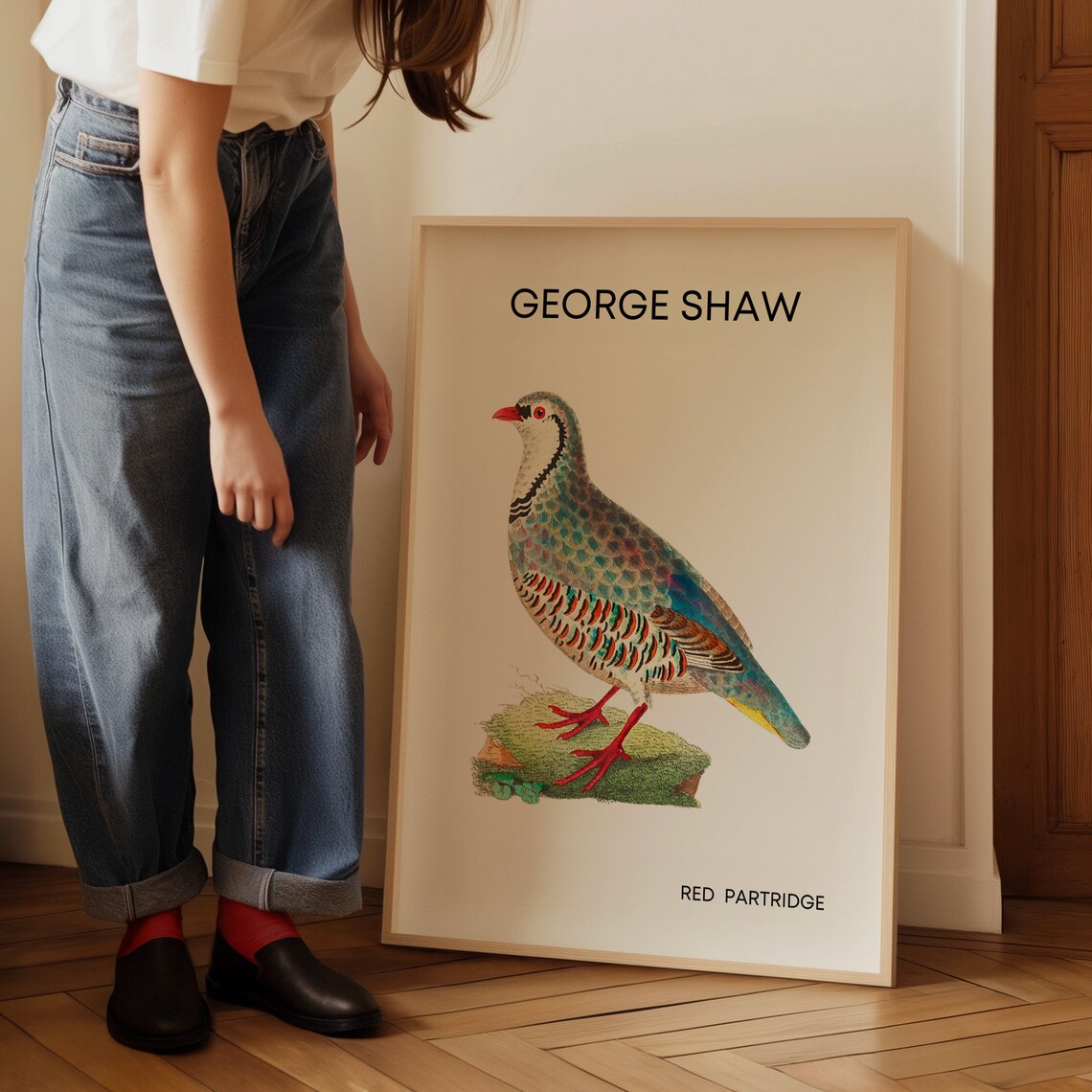 Classic George Shaw Red Partridge Vintage Bird Illustration Poster - Image 3