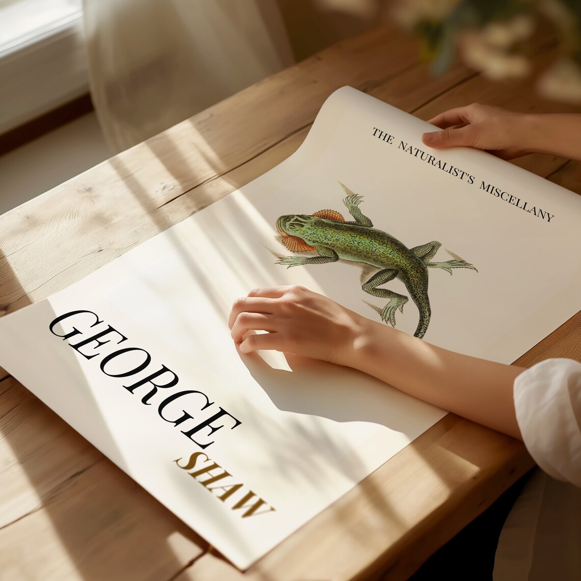 George Shaw Antique Green Lizard Natural History Exhibition Poster - Image 2