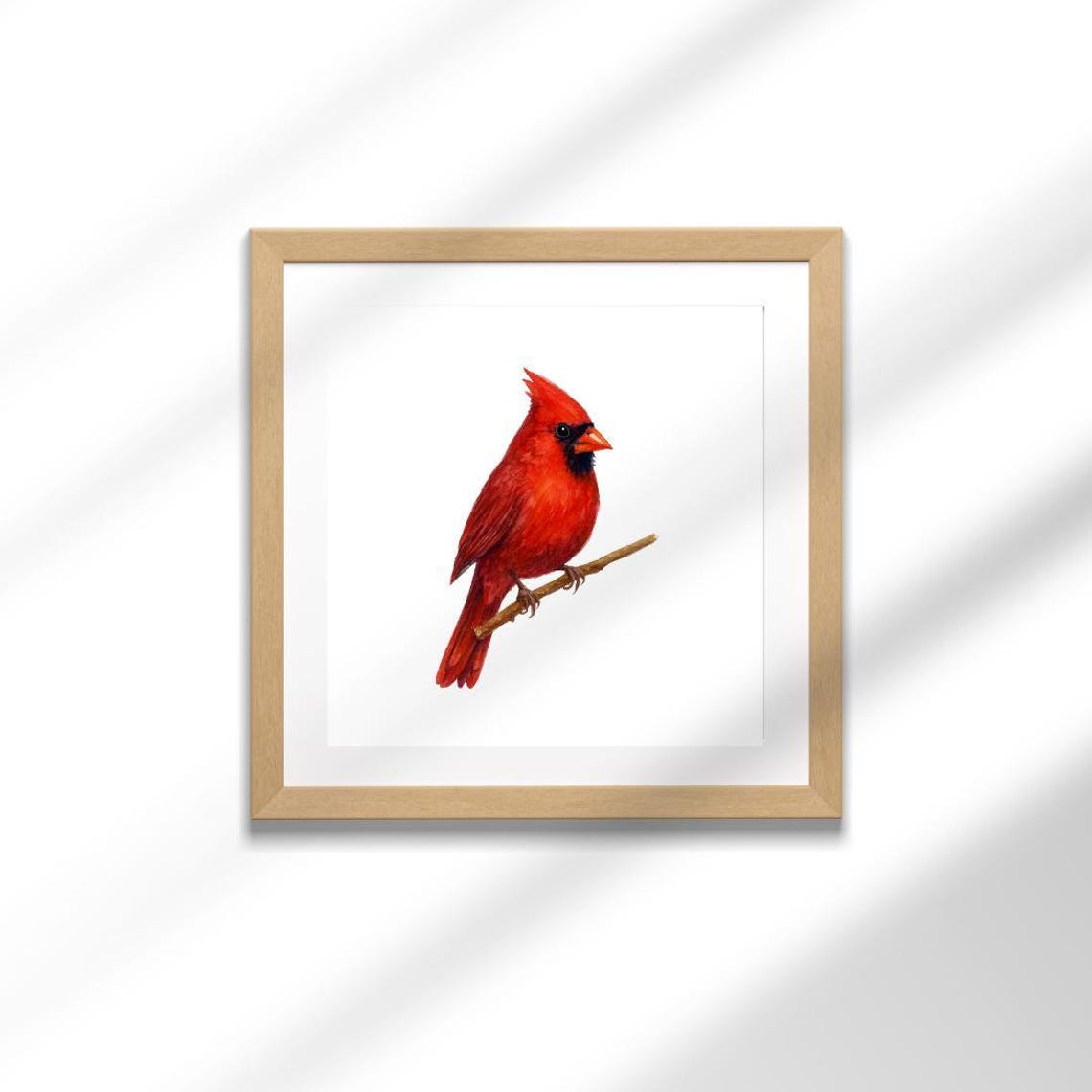 Red Northern Cardinal Perched On Branch Watercolor Bird Art Poster
