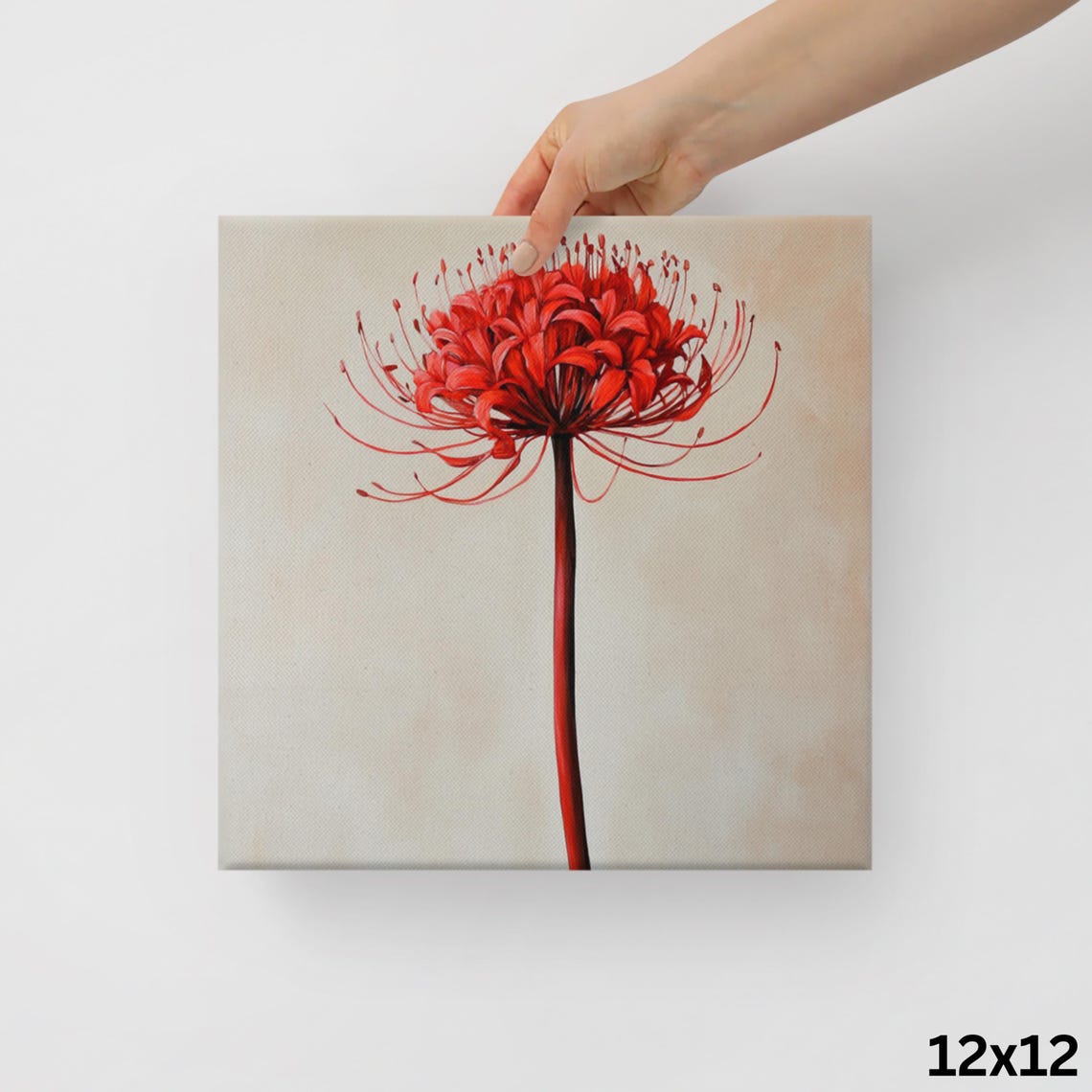 Red Spider Lily Bloom Long Stamens Beige Botanical Painting Art Poster - Image 2