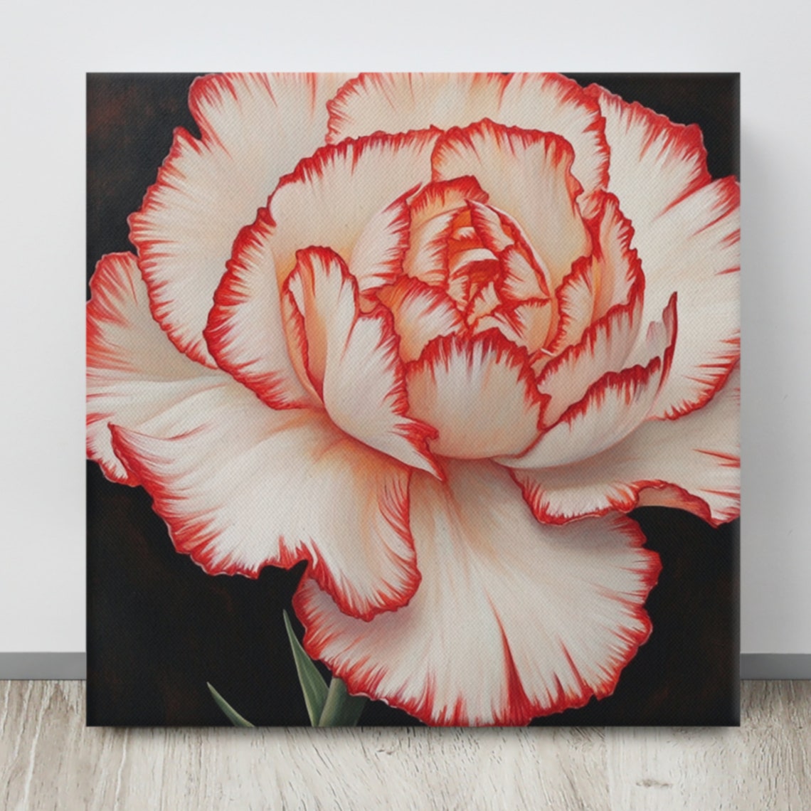 Red White Two Toned Carnation Black Background Bold Statement Poster - Image 5