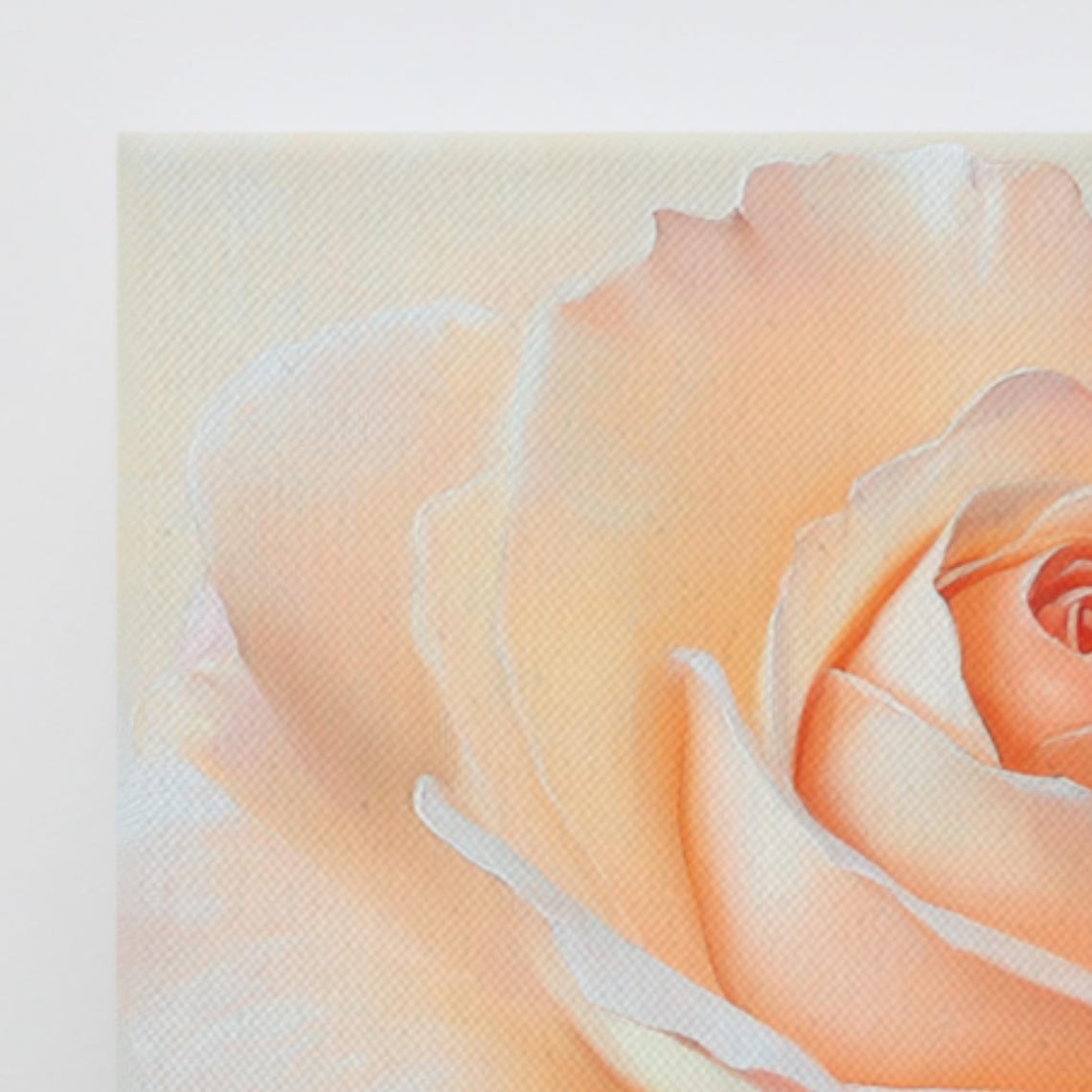 Soft Pink Rose Close Up Realistic Bloom Oil Painting Art Poster - Image 3