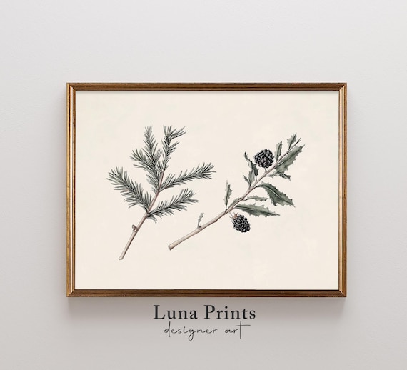 Minimal Pine Sprig Blackberry Branch Winter Botanical Poster