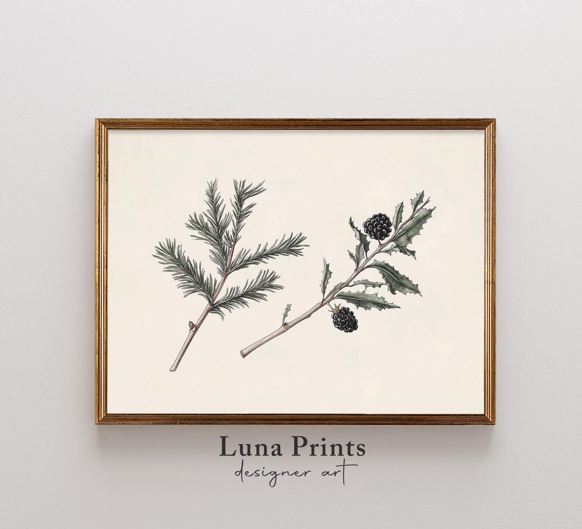 Minimal Pine Sprig Blackberry Branch Winter Botanical Poster