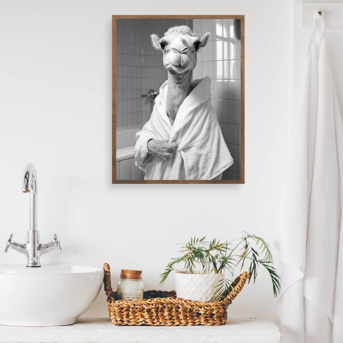 Camel In A Bathrobe Funny Black And White Bathroom Wall Poster - Image 2