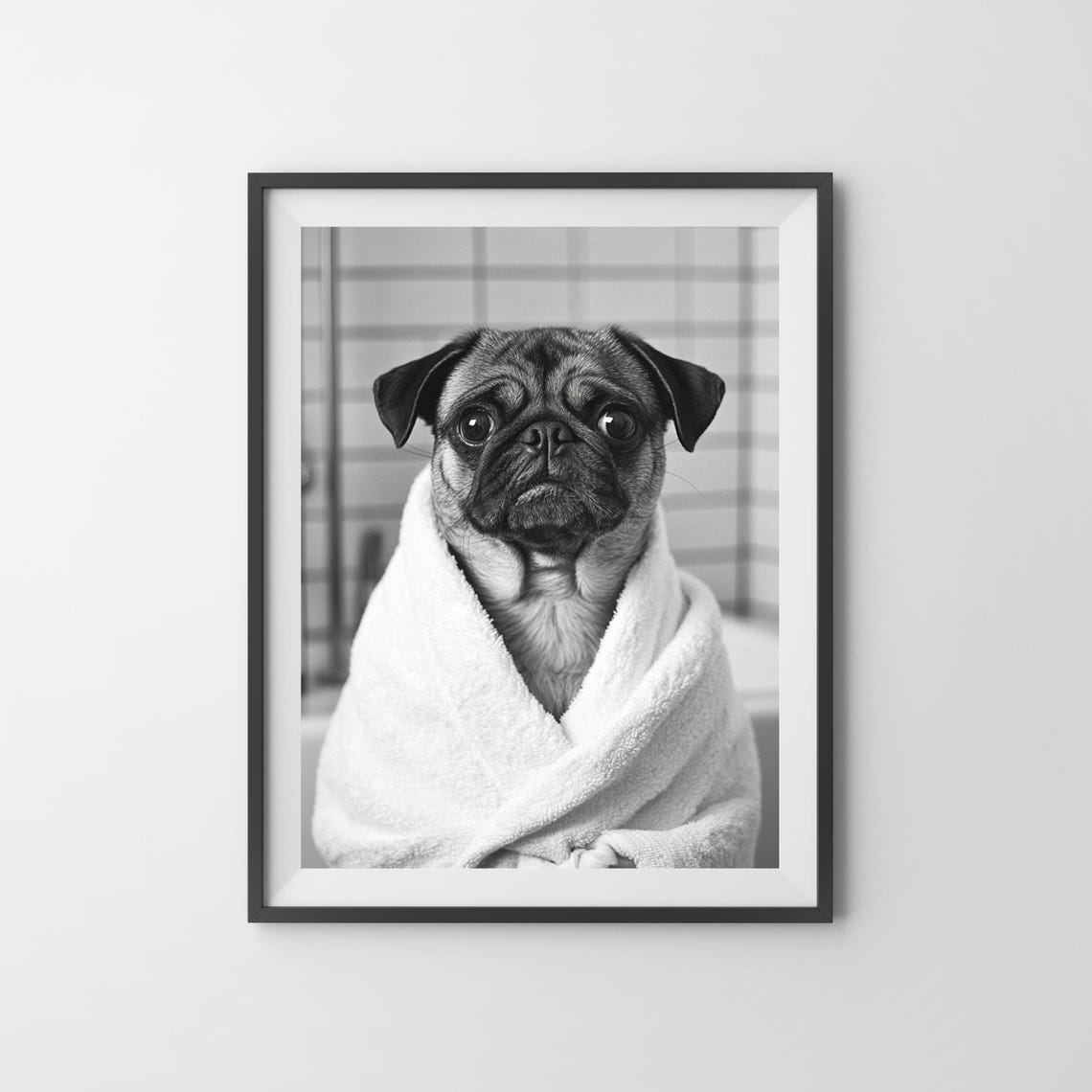 Pug Wrapped in White Towel Black and White Funny Bathroom Poster - Image 3