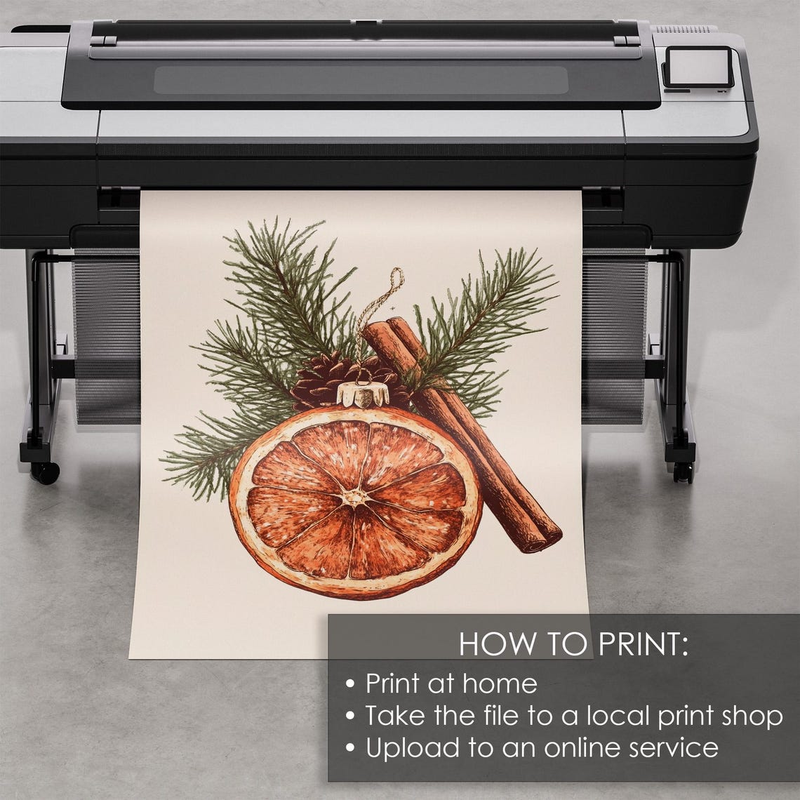 Dried Orange Slice Cinnamon Botanical Christmas Illustration Print - Image 5