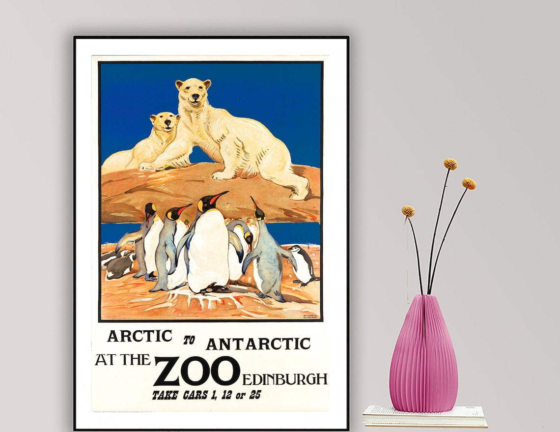 Arctic to Antarctic at the Zoo Edinburgh Travel Poster