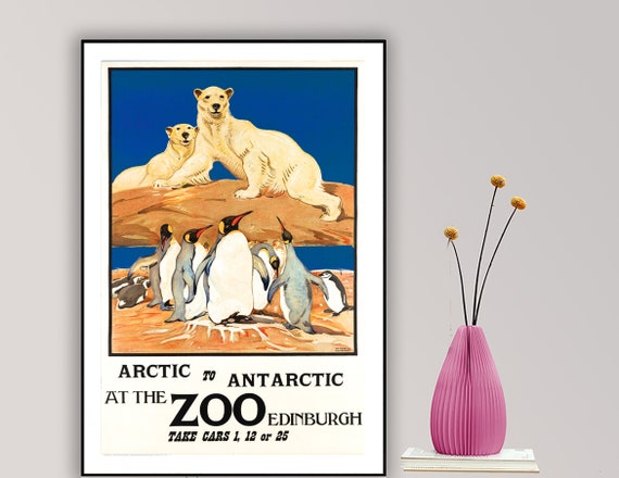 Arctic to Antarctic at the Zoo Edinburgh Travel Poster