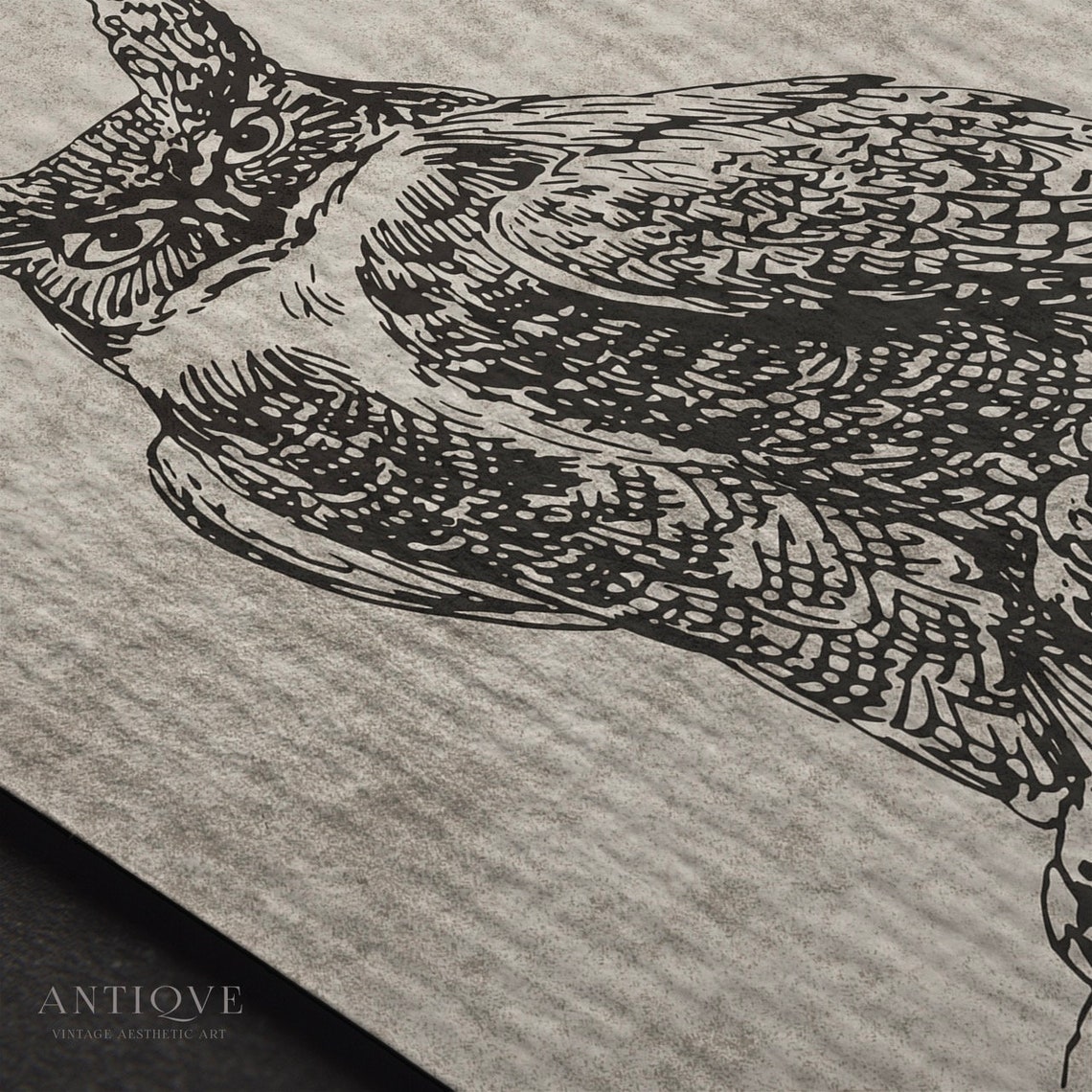 Great Horned Owl Branch Vintage Engraving Wildlife Art Poster - Image 3