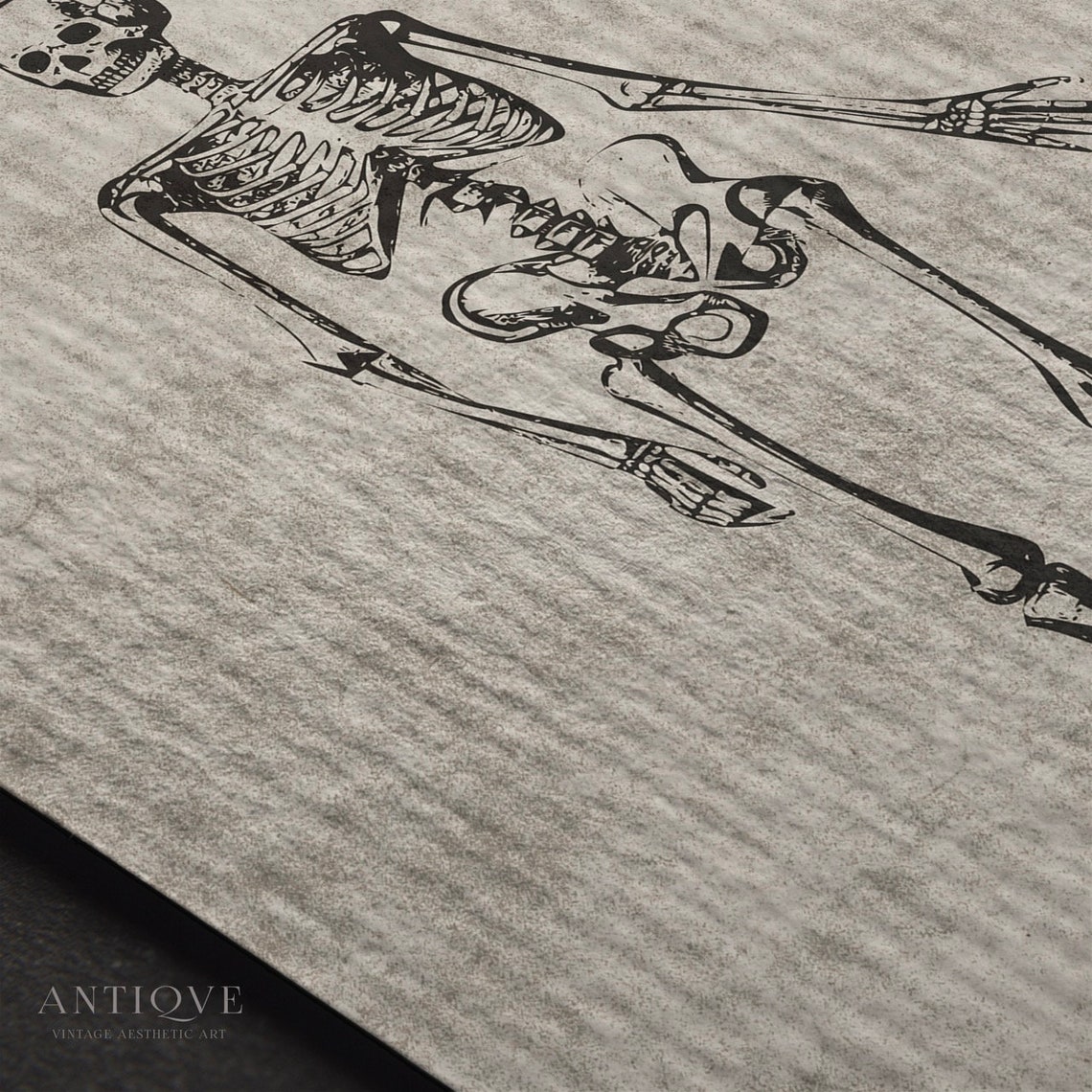Antique Human Skeleton Anatomy Engraving Vintage Science Print - Image 3
