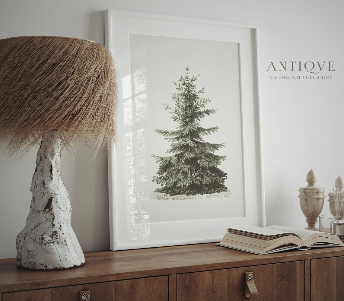 Vintage Fir Botanical Sketch Christmas Tree Art Print - Image 4