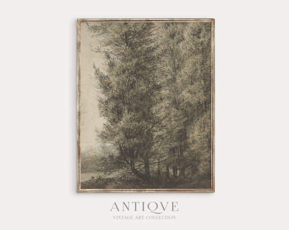 Vintage Trees Sketch Poster, Nature Wall Art