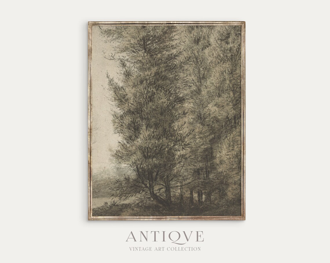 Vintage Trees Sketch Poster, Nature Wall Art