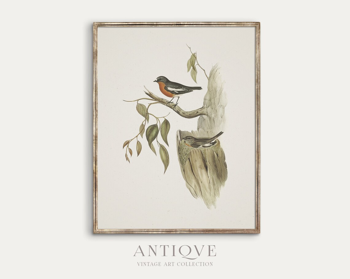 Vintage Robin With Nest, Irish Home Decor