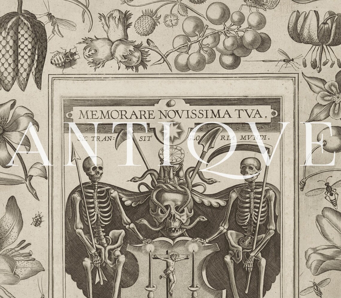 Vintage Skeleton Sketch, Dark Academia Art Print - Image 3
