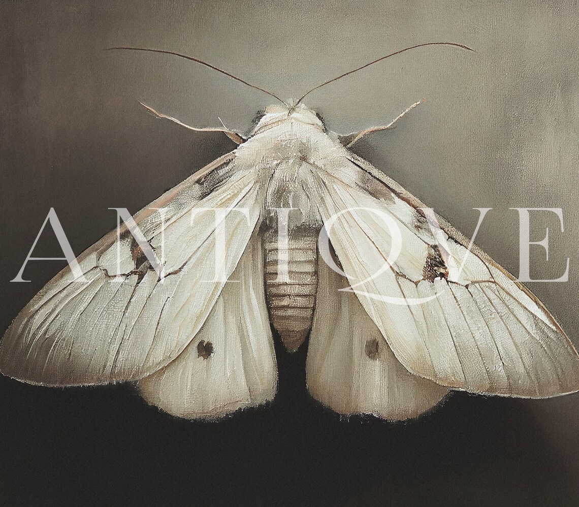 Moth Painting Print, Light Academia Wall Art - Image 3