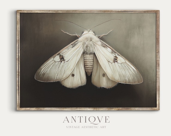 Moth Painting Print, Light Academia Wall Art