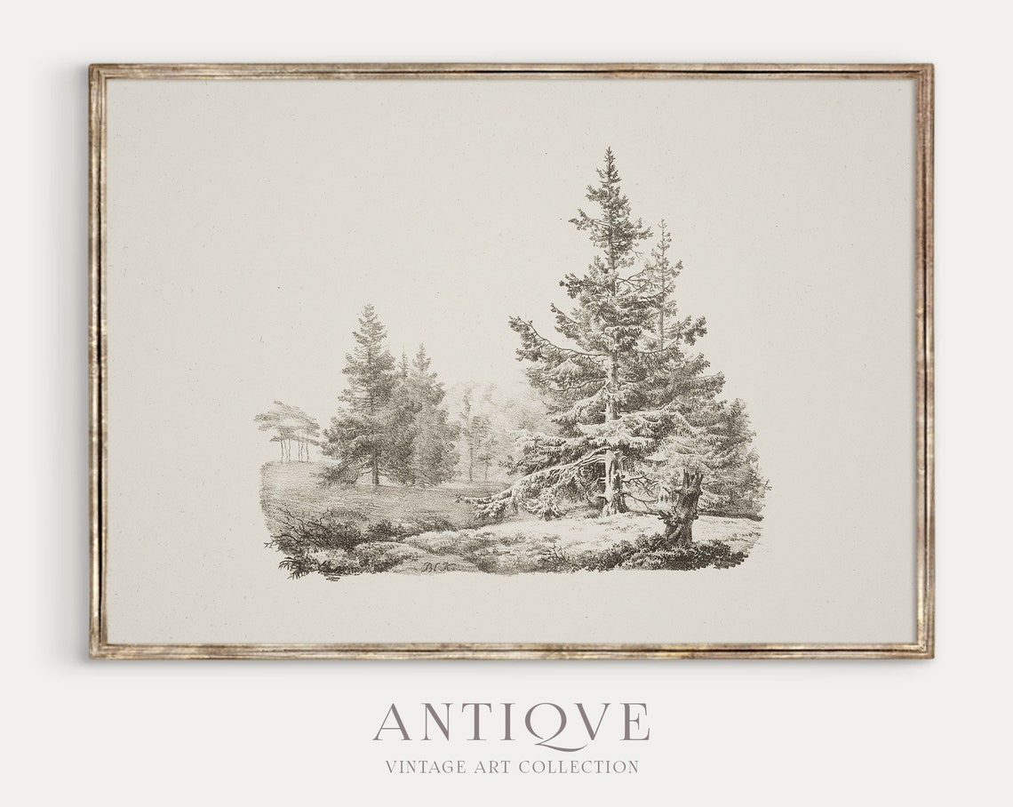 Vintage Forest Sketch Nature Art Print - Image 4