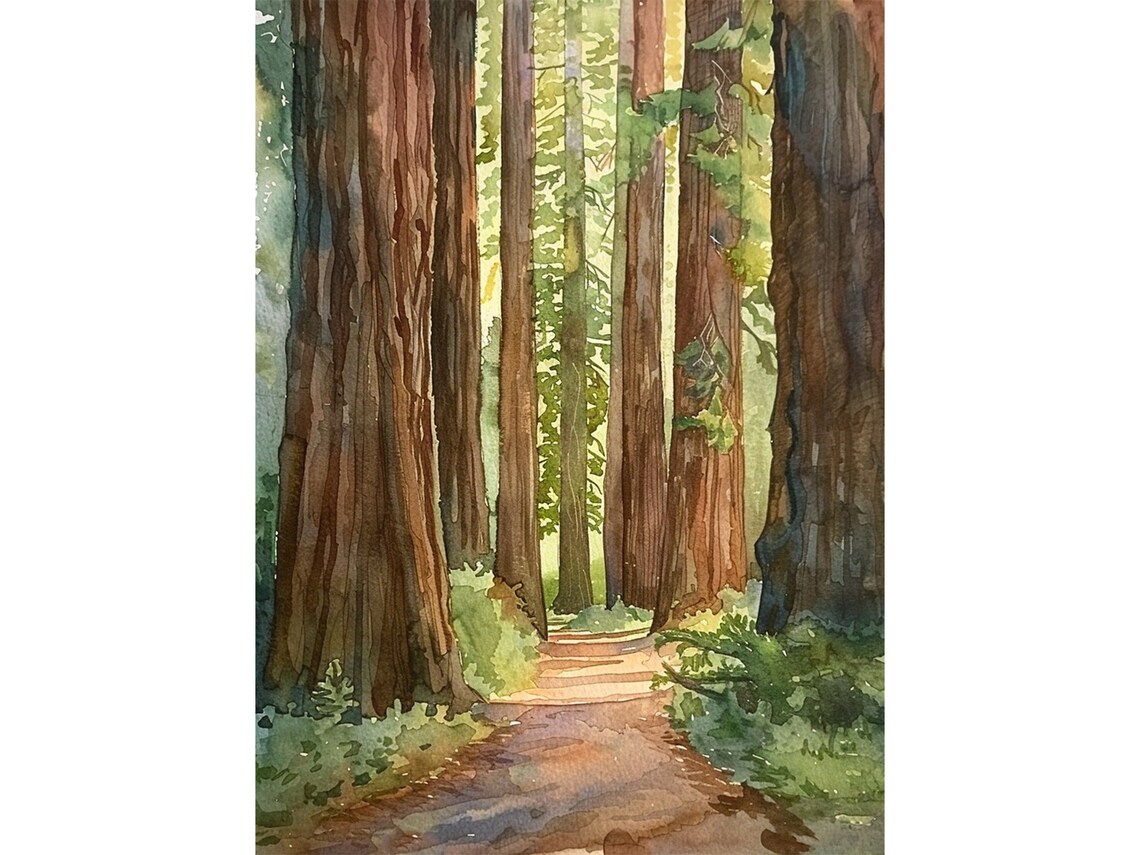 Redwood National Park Watercolor Art Print, California