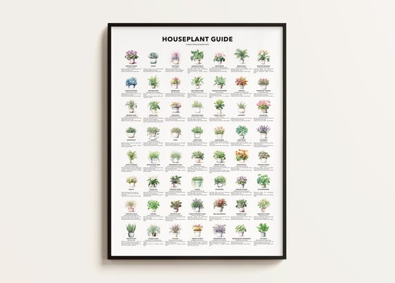 Houseplant Guide, Plant Lover Gift Poster