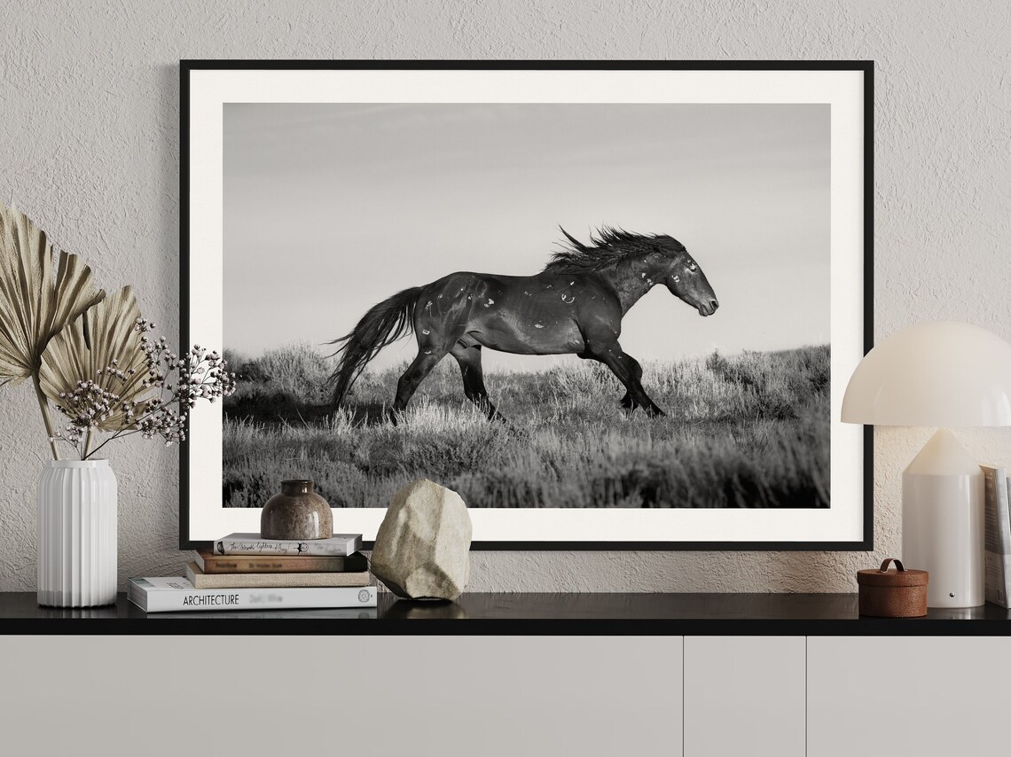Wild Horse Running Black and White Western Photography Poster