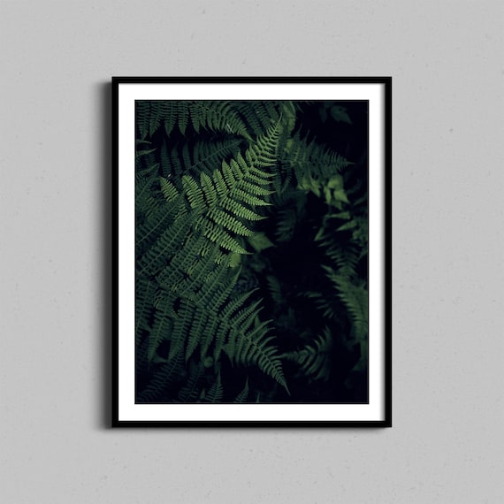 Dark Green Fern Fronds Lush Forest Botanical Fine Art Photography Poster