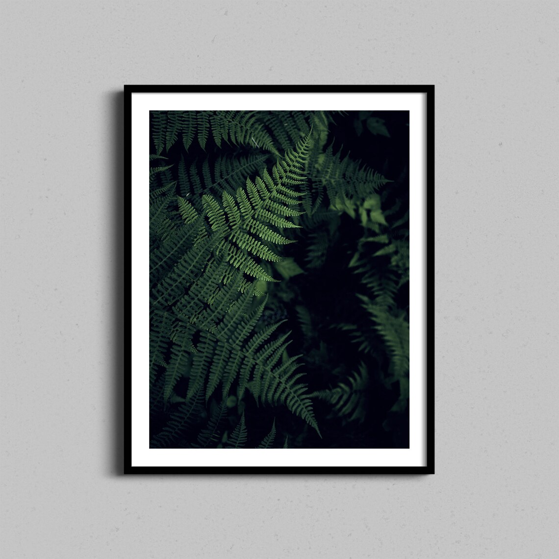 Dark Green Fern Fronds Lush Forest Botanical Fine Art Photography Poster