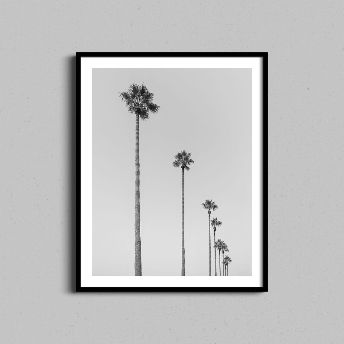 Black And White Tall Palm Trees Minimalist Photography Wall Poster