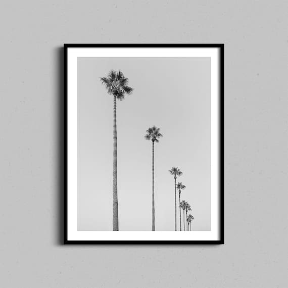 Black And White Tall Palm Trees Minimalist Photography Wall Poster