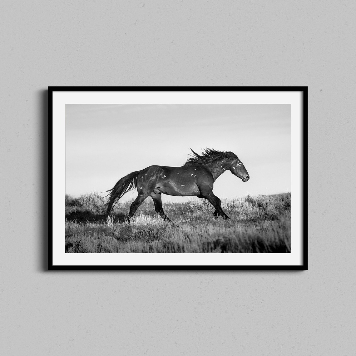 Wild Horse Galloping Black And White Photography Poster Equestrian Art