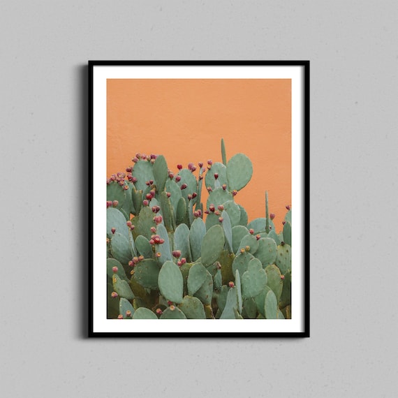 Prickly Pear Cactus Against Orange Wall Desert Botanical Photo Poster