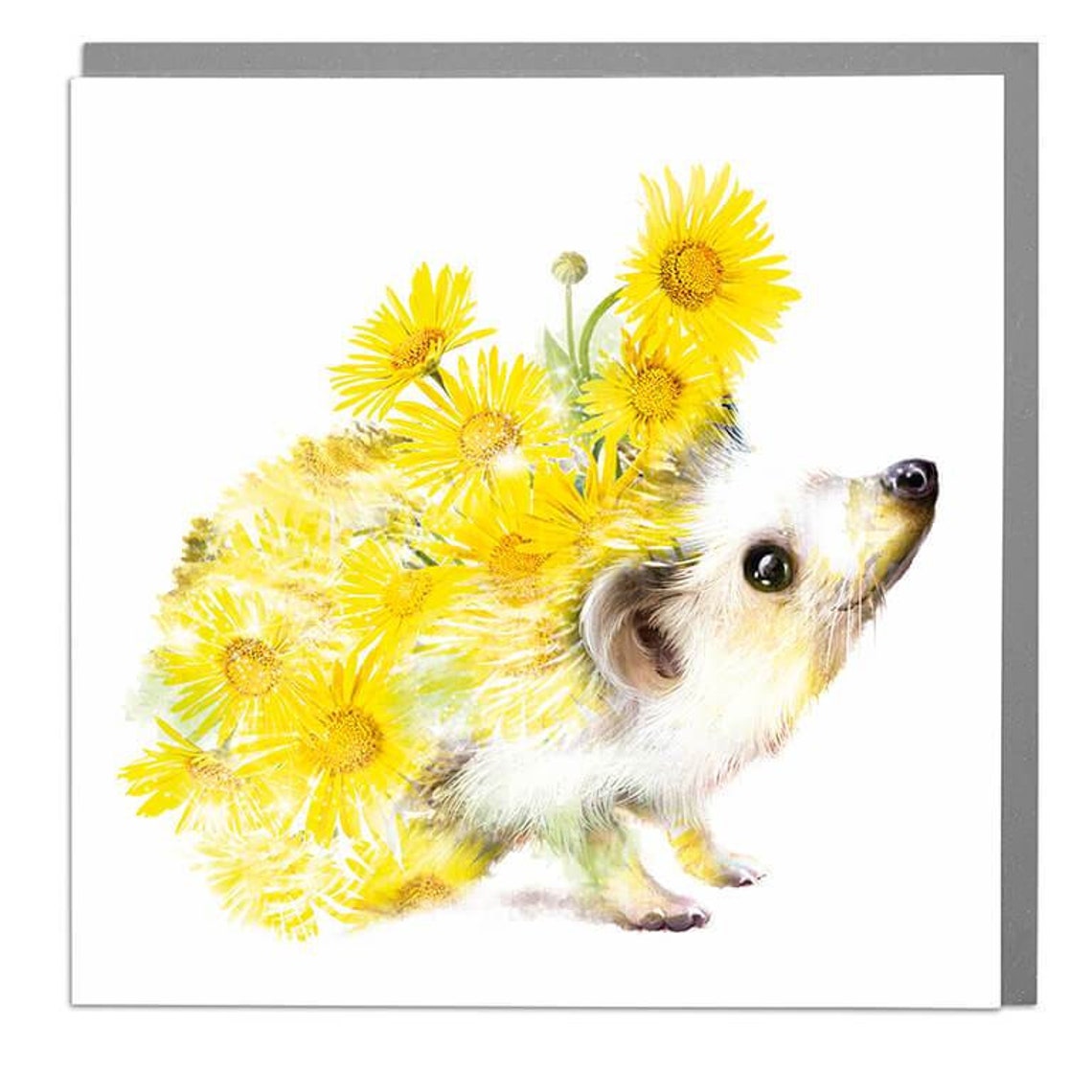 Hedgehog Blank Greeting Card