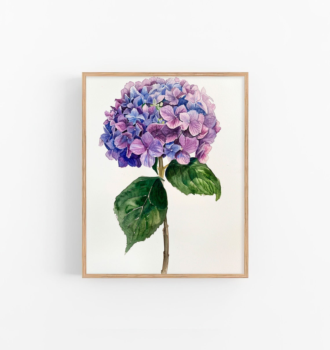 Hydrangea Watercolor Purple Blue Bloom Botanical Single Stem Poster