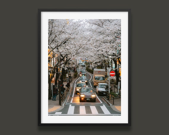 Tokyo Print Japan Taxi Under Cherry Blossom Photo Art Print Urban Streets Shibuya Original Wall Art
