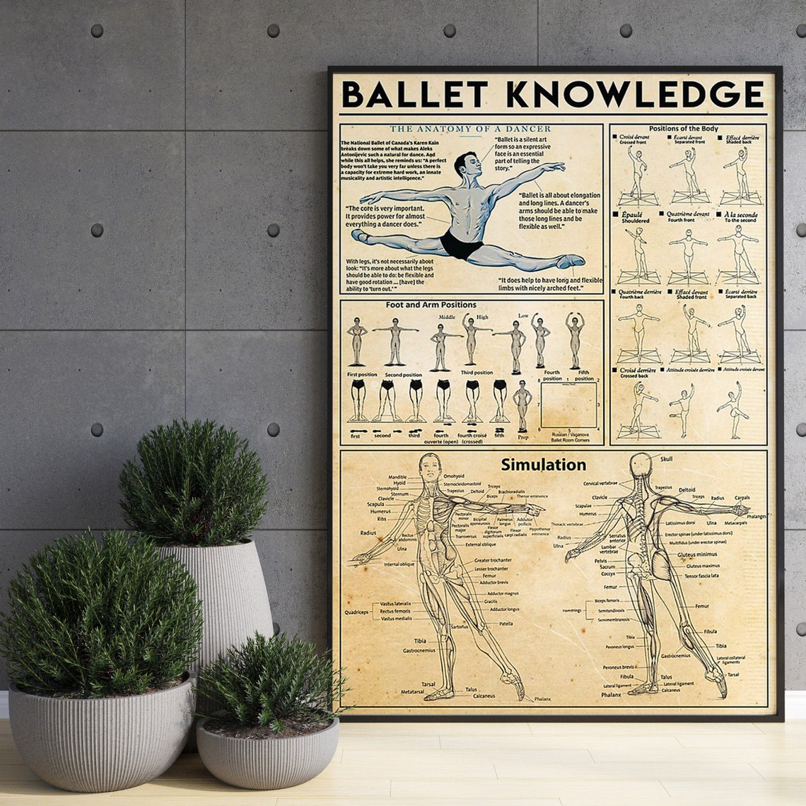Ballet Knowledge Anatomy Of A Dancer Positions Chart Reference Poster - Image 3