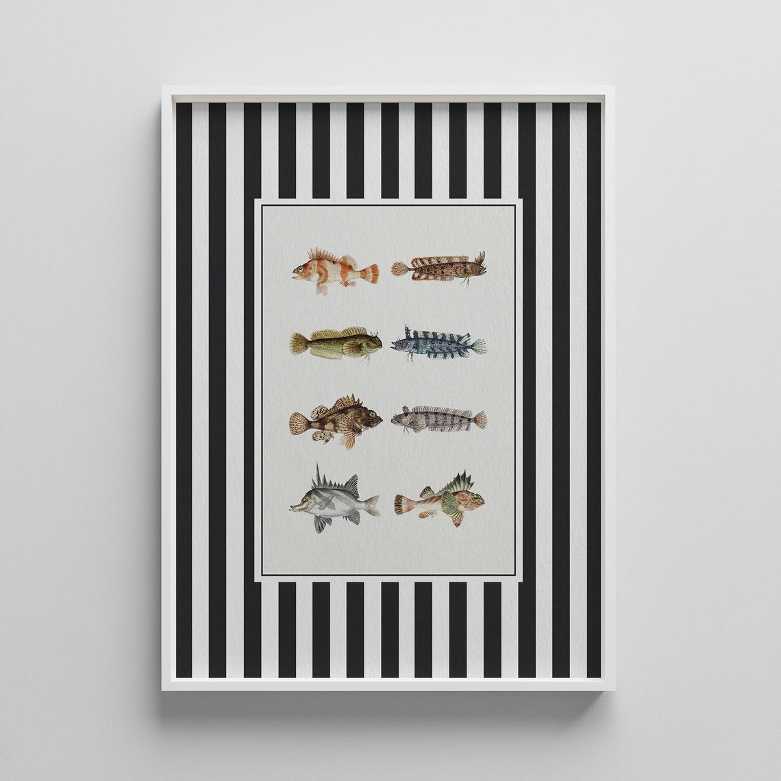 Vintage Fish Species Identification Chart Antique Marine Print