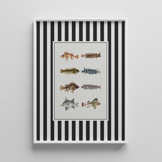 Vintage Fish Print Set Antique Lake House Wall Art