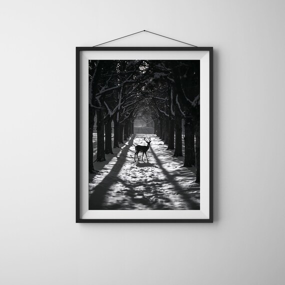 Black And White Deer Silhouette In Winter Forest Wildlife Wall Art Tranquil Snowy Landscape Instant