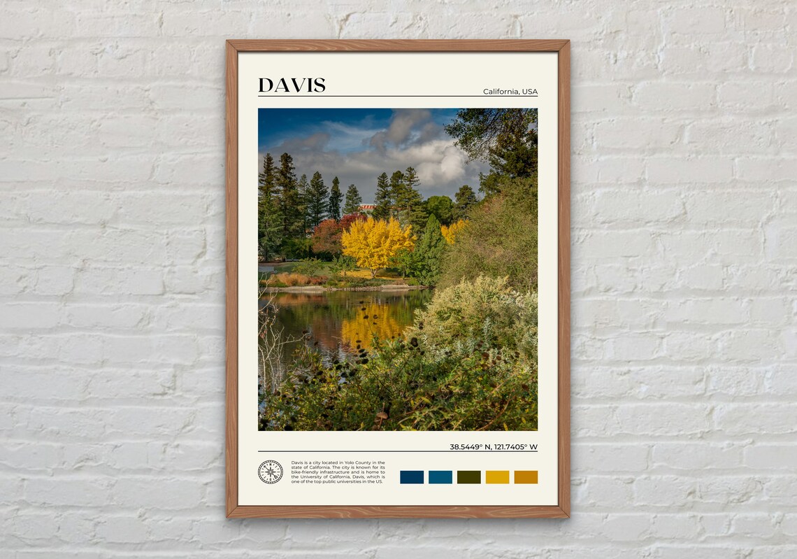 Davis California Travel Poster, Real Photo Print