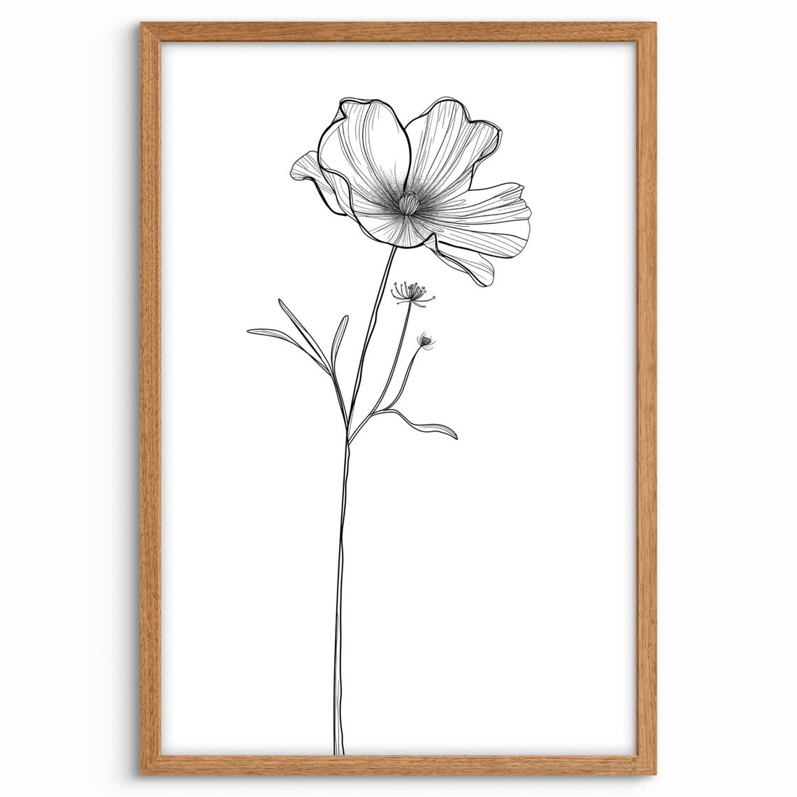 Single Line Poppy Flower Drawing Minimalist Botanical Poster