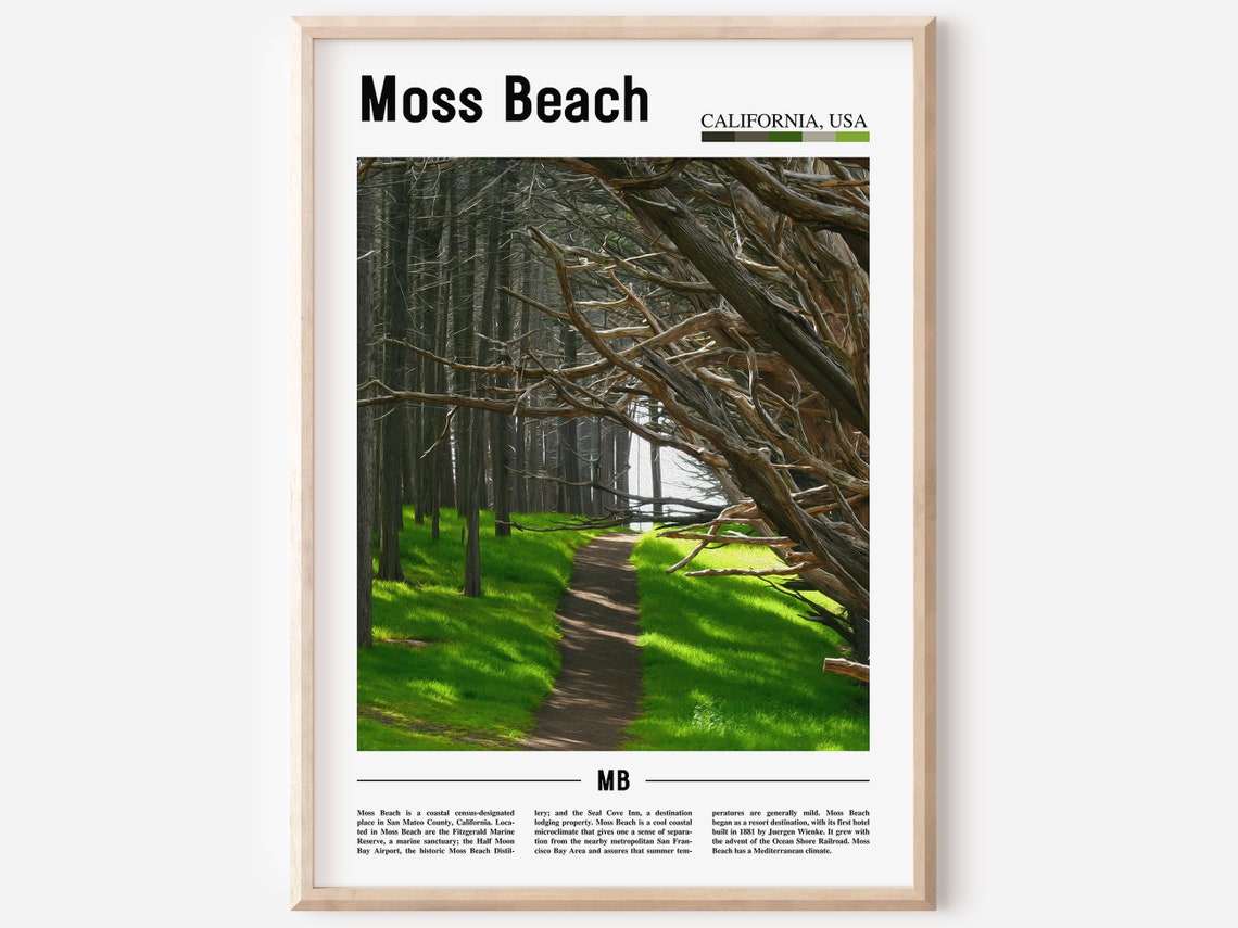 Moss Beach California Minimal Forest Path Travel Photography Poster