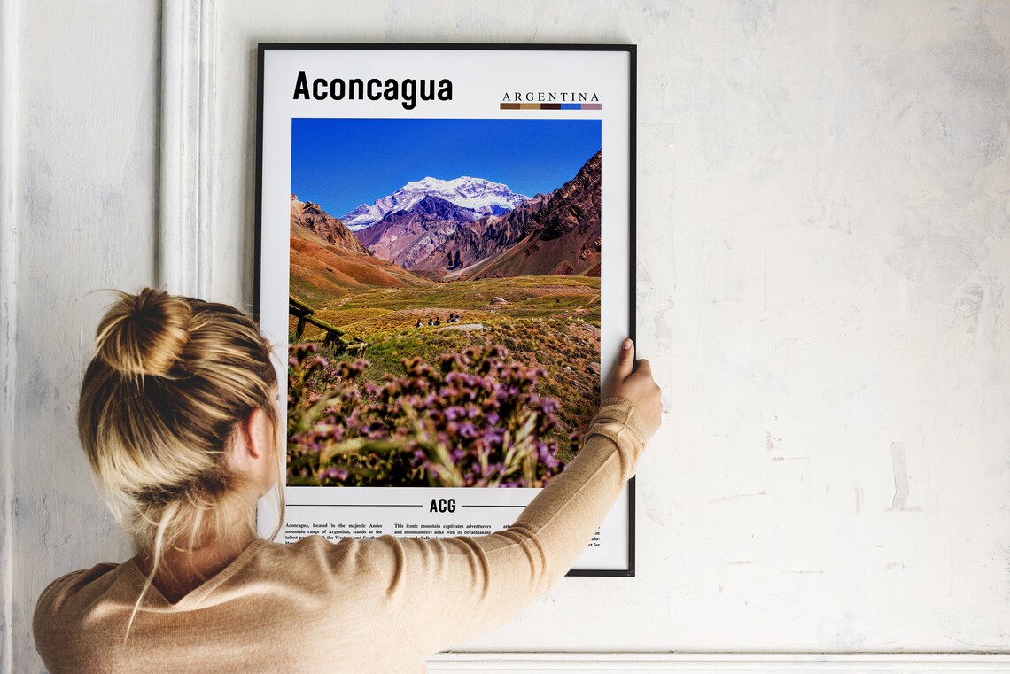 Aconcagua Argentina Snow Capped Andes Peak Wildflowers Poster - Image 2