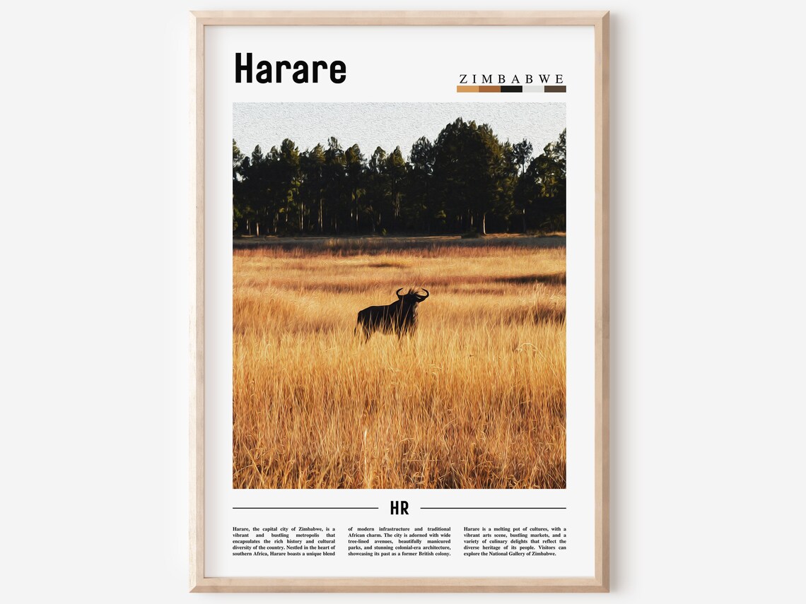 Harare Zimbabwe Wildebeest Golden Grassland Wildlife Photo Poster