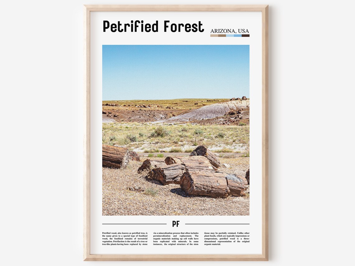 Petrified Forest Arizona Painted Desert Landscape Travel Poster Photo