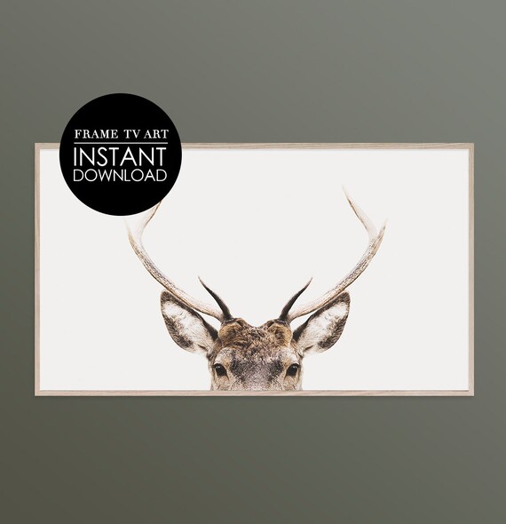 Samsung Frame Tv Art Deer Antler Decor Minimalist Modern