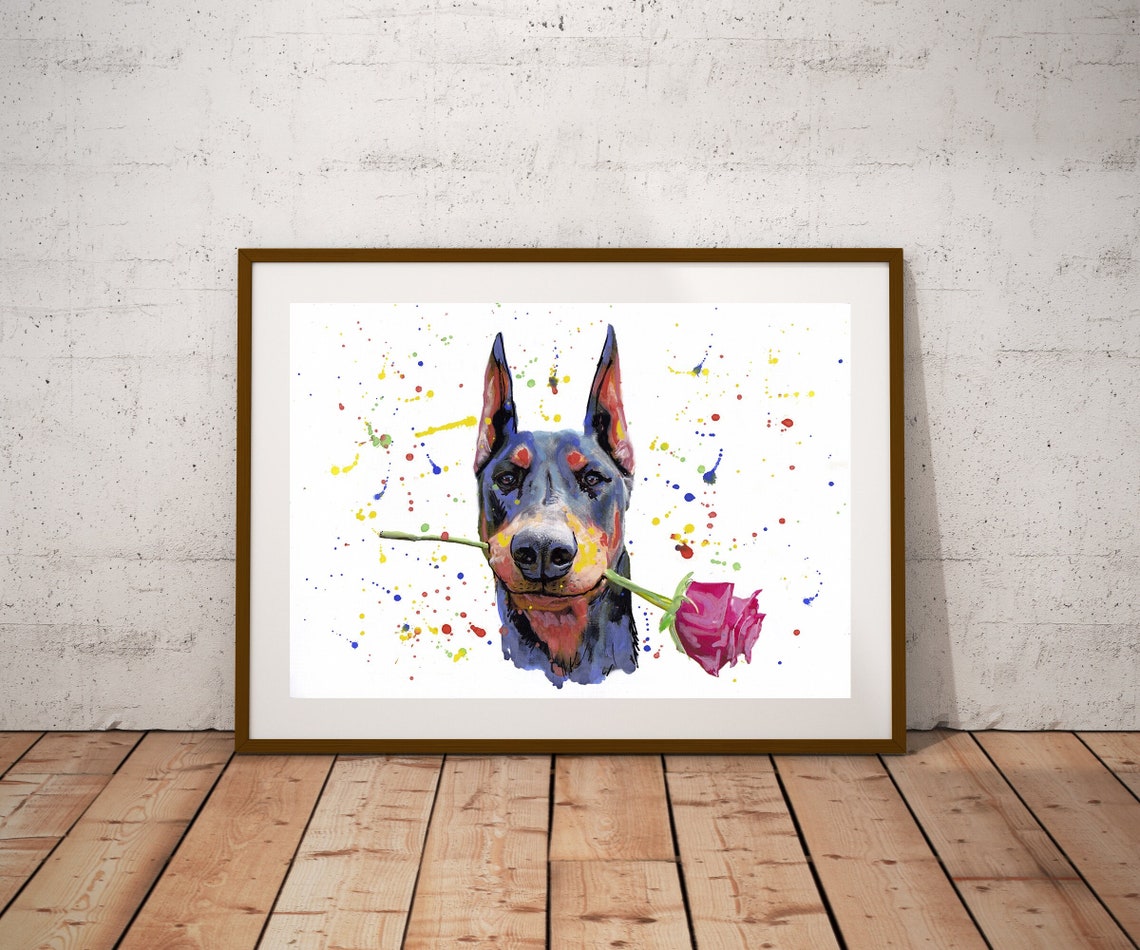 Doberman Pinscher Holding Red Rose Colorful Watercolor Art Poster