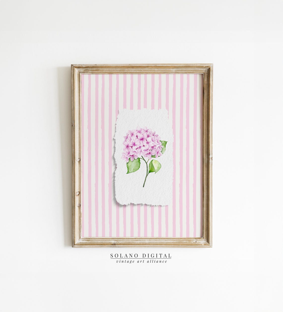 Pink Hydrangea Bloom on Torn Paper Pink Striped Watercolor Poster
