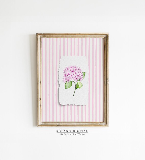 Pink Hydrangea Bloom on Torn Paper Pink Striped Watercolor Poster