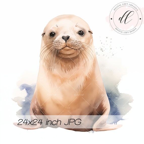 Watercolor Sea Lion Print Cute Seal Illustration Nursery Ocean Animal Wall Art Sea Life Poster Baby Room Decor